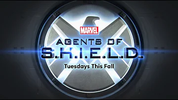 Is the shield on Netflix 2020?