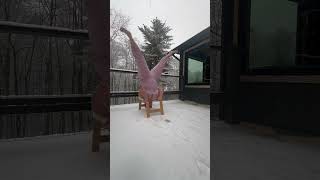 Inverted Snow Yoga