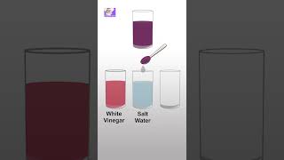Magical Colour Changes: Kids' Science Explained  #learningscience