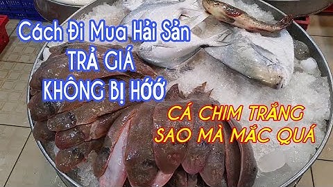 Tập 118 | Chợ Bình Điền | review giá cả cá bớp, cá thu, mực ống, cá bông lau... hôm nay thế nào ??