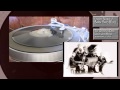 Barnyard Blues/Livery Stable Blues - Original DIxieland Jazz Band Reunion 1936