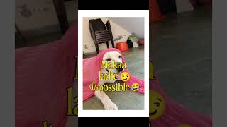 POV: You’re waiting to plant a tree… but your dog said ‘makaa ladlee disposable’ instead 💀😂#trending