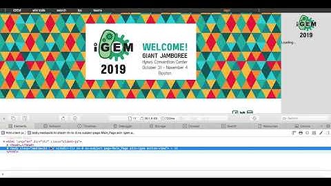 How to iGEM Wiki #7 - Wiki Strip Down