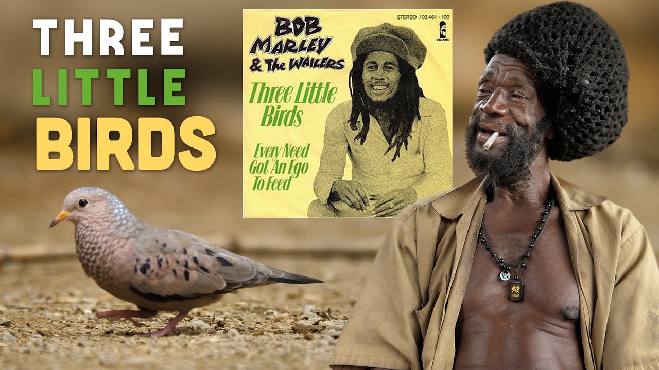 Three Little Birds by Bob Marley & the Wailers - Songfacts