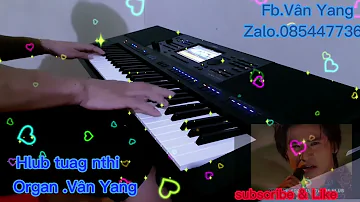 Hlub Tuag Nthi .Cover Organ