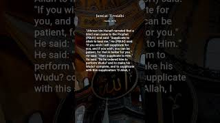 Jami at-Tirmidhi, Hadith: 3578, Chapters on Tafsir