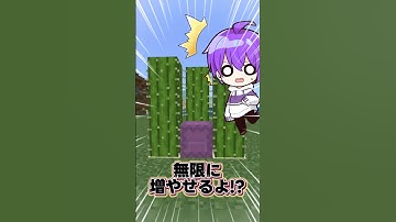 シュルカーを無限増殖できるよ!?【マイクラ/ゆっくり実況】