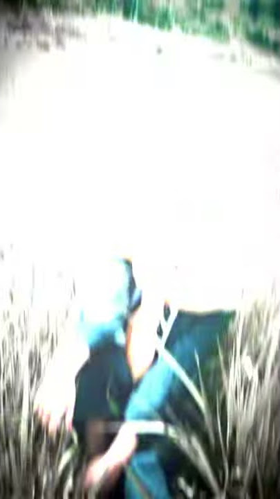 [PERESET]ALIGHT MOTION FF 🤩💢💥||DJ YANG LAGI VIRAL TIKTOK || DJ MAU BAGAIMANALE KOPLO ||FOTO TEMAN