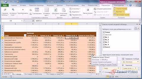 Вычисляемые поля в Microsoft Office Excel 2010 (24/50)