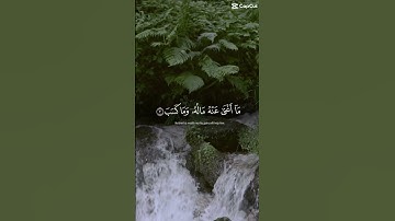 #قرآن_كريم #تلاوة_خاشعة #راحة_نفسية #بلال_دربالي #العراق_مصر