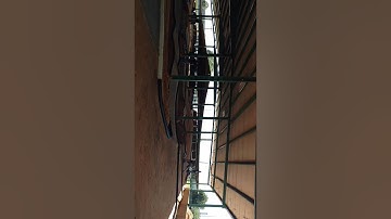 Ss hobbies & raceway