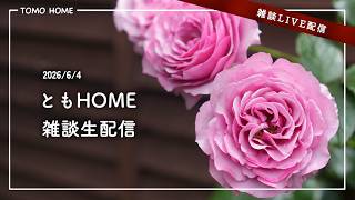 【6/4 21時〜】ともHOME 園芸雑談配信 プレゼント苗当選者発表