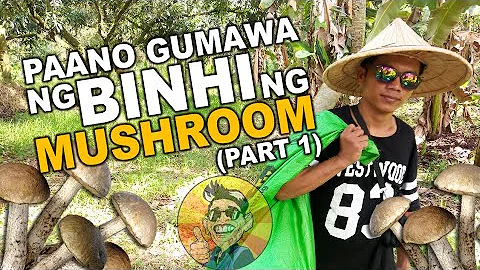 Part 1 | Paano gumawa ng Binhi ng Mushroom| MUSHRO...