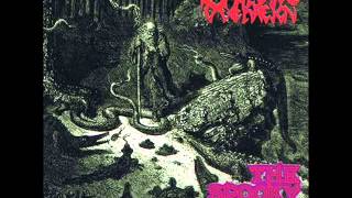 洋楽 Sempiternal deathreign /The spooky gloom Sempiternal Deathreign – The Spooky Gloom – Vinyl (Purple