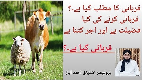 What is Sacrifice... what is the meaning of Sacrifice... Qurbani kya hai .. قربانی کا کیا مطلب ہے۔۔؟