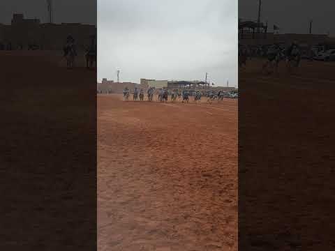 احتفلات عيد النصر مشرية علفة لحاج المشري