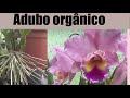 ⭐️Como fazer um ADUBO totalmente ORGÂNICO para as orquídeas florirem em casa