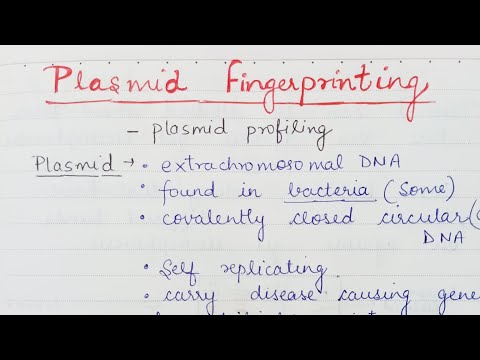 Plasmid fingerprinting/ Plasmid