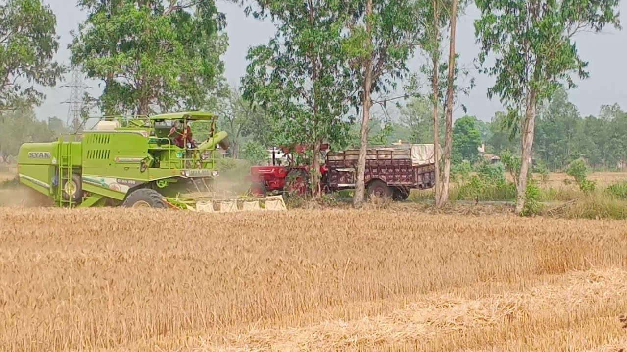 Combine Harvester Syan 998 Wheat Cropped  Village2 Tractor