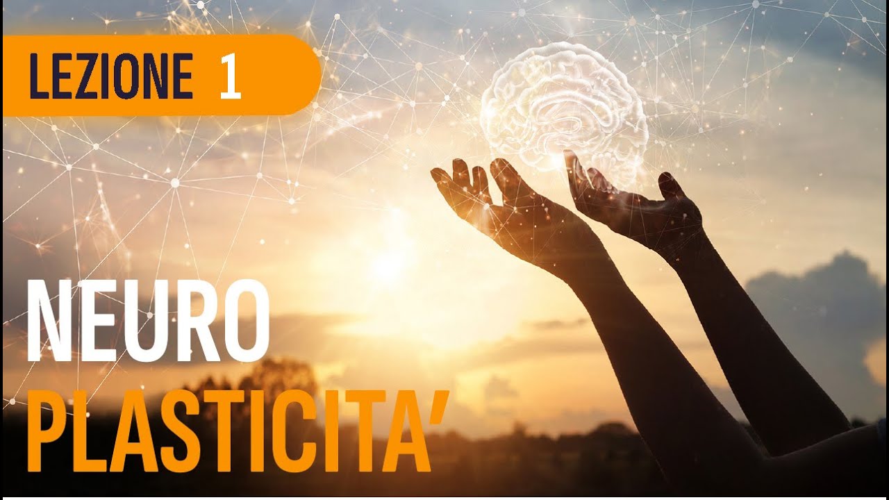 Neuroplasticità | Come funziona e come cambiare le tue abitudini