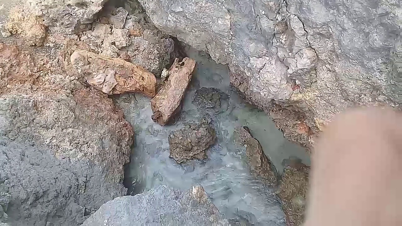 Nowcom Summer Outing 2017(2)