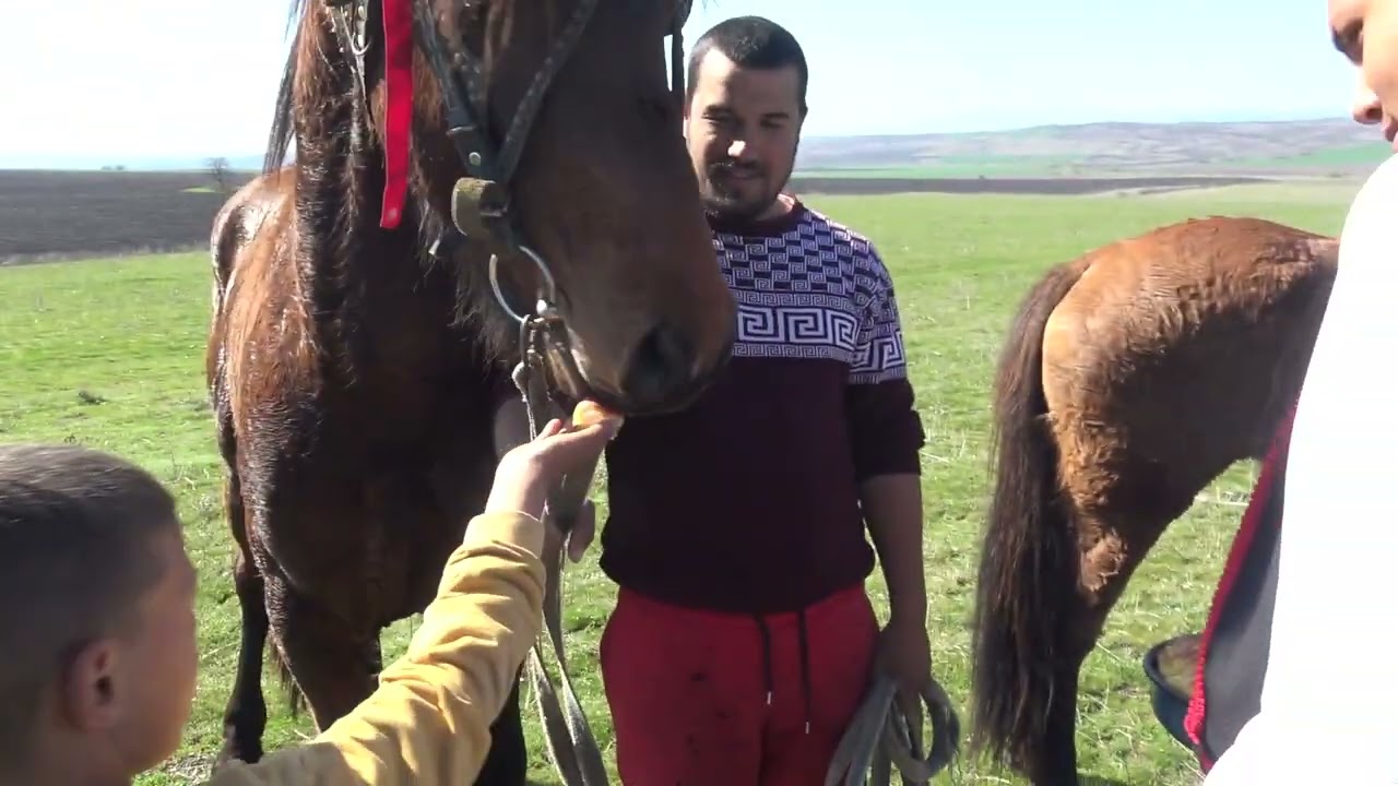 Конни надбягвания в с  Изгрев 2024г