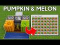 Minecraft Pumpkin and Melon Farm 1.21.11