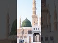 jaan hazir hai MUSTFA K LIAY/ naat short video