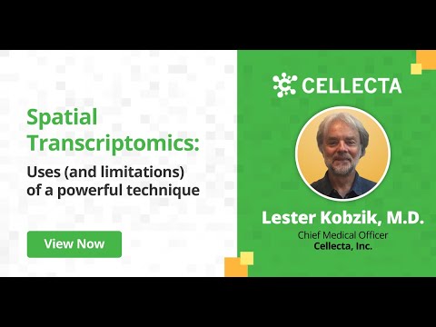 Spatial Transcriptomics: Uses