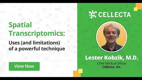 Spatial Transcriptomics: Uses and Limitations of a Powerful Technique