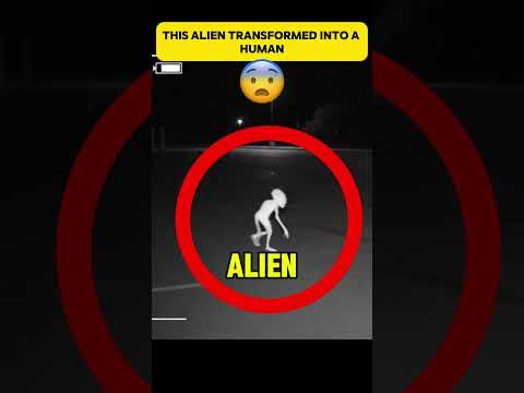 This Is How They Infiltrate