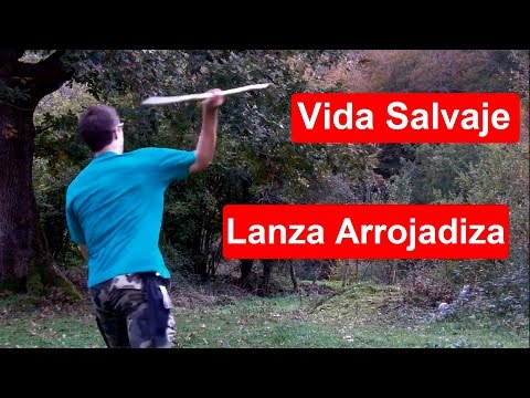 Video: Cómo Hacer Una Lanza