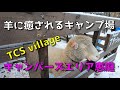 羊に癒されるキャンプ場　キャンパーズエリア恵庭【TCS Village】【北海道キャンプ】