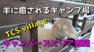 羊に癒されるキャンプ場　キャンパーズエリア恵庭【TCS Village】【北海道キャンプ】