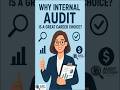 Why is Internal Audit a Great Career Choice? #internalaudit #audit #big4 #career #risk #sox #big4