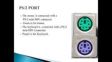 PS/2 Ports
