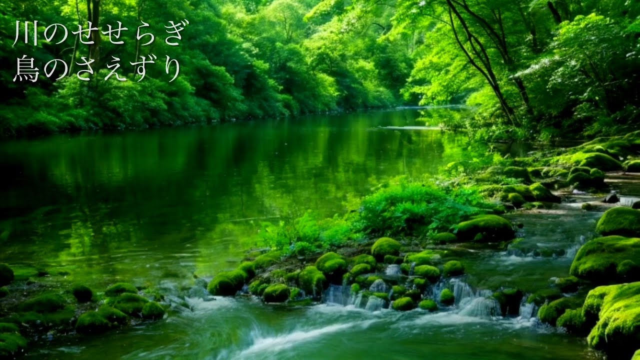 【癒し】新緑の森の自然の音(川のせせらぎ・鳥のさえずり)| ぐっすり眠れる 睡眠をサポート、勉強や作業時の集中力向上、リラックス効果、ASMR ...