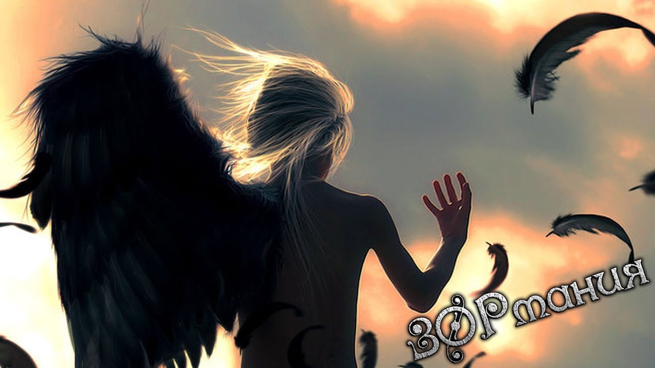 Metalrus - А мы не ангелы, парень! (А.Понамарёв cover) - YouTube