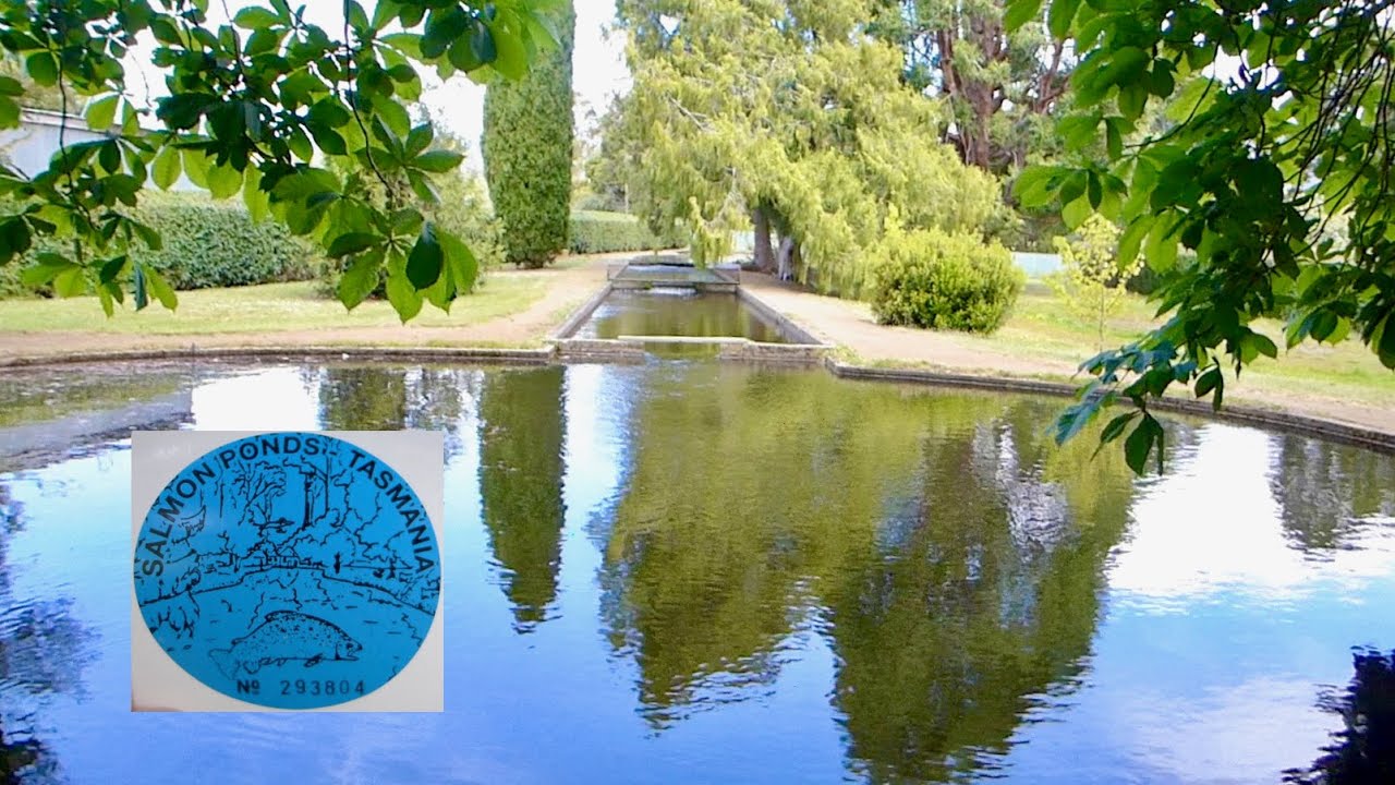 Visit Tasmania Salmon Ponds YouTube