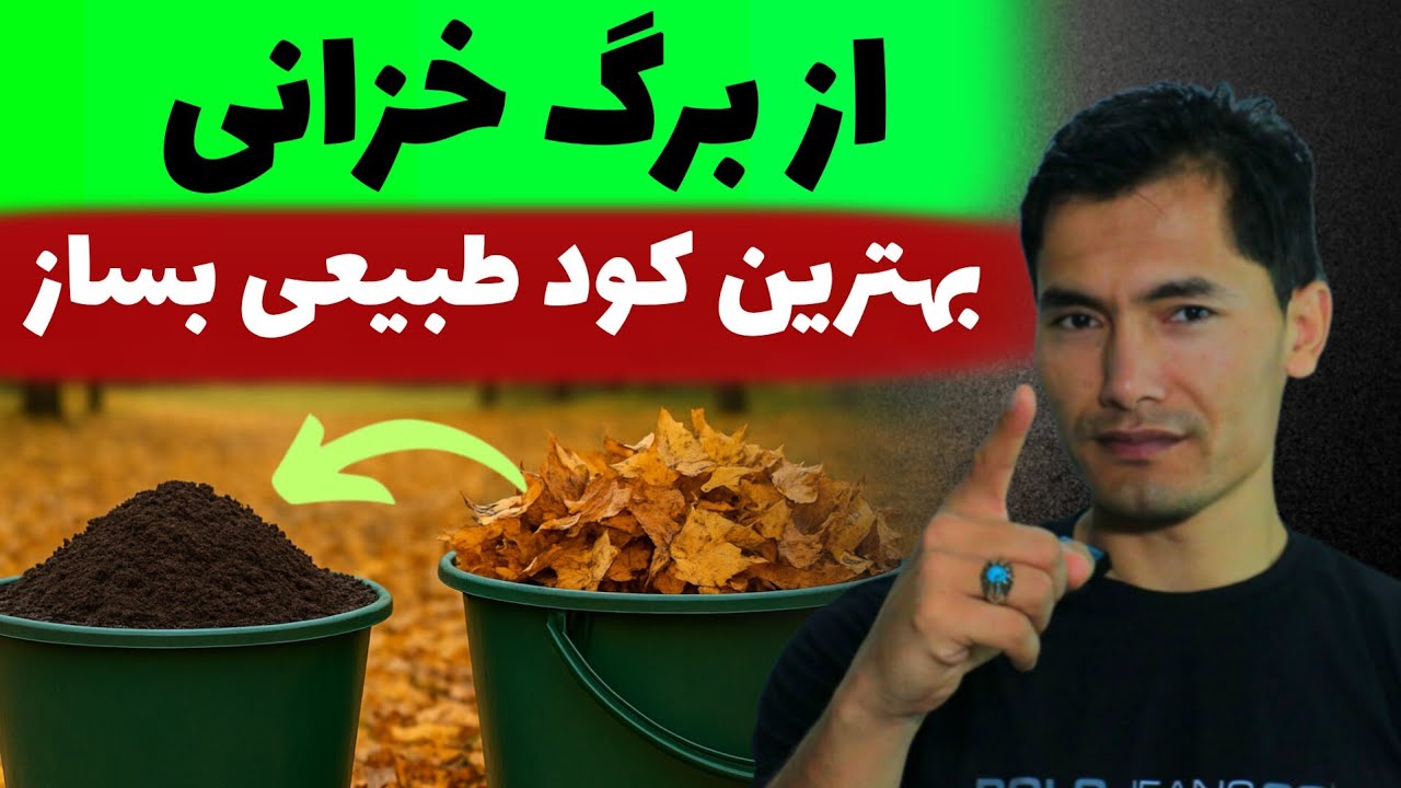 روش ساده برای تبدیل برگهای ريخته شده🍂به کود رایگان طبیعی و طلایی کشاورزی