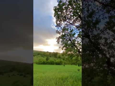 سكنتم فؤادي ورب العباد اناشيد بدون موسيقى استوريات لايك اشتراك بالقناه ليصلك كل جديد