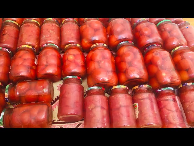 Melisa Mandini porno videolar