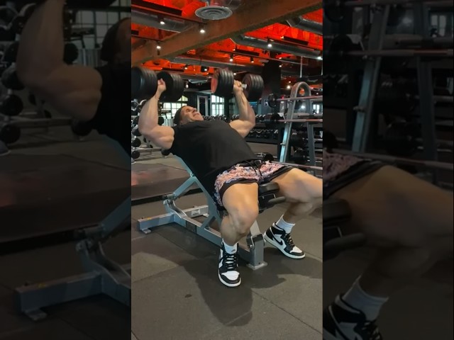 INCLINE DUMBBELL PRESS