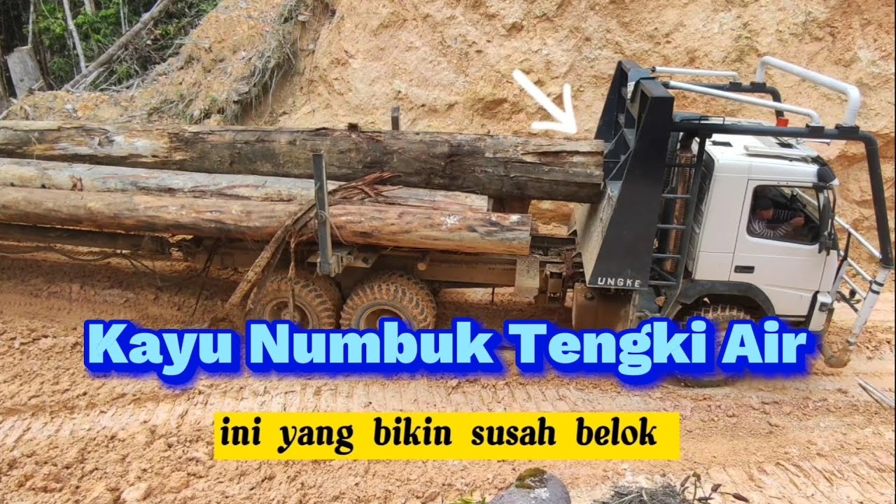Logging Truck Turunan Exstrim , Kayu Sampai Numbuk Tengki Air