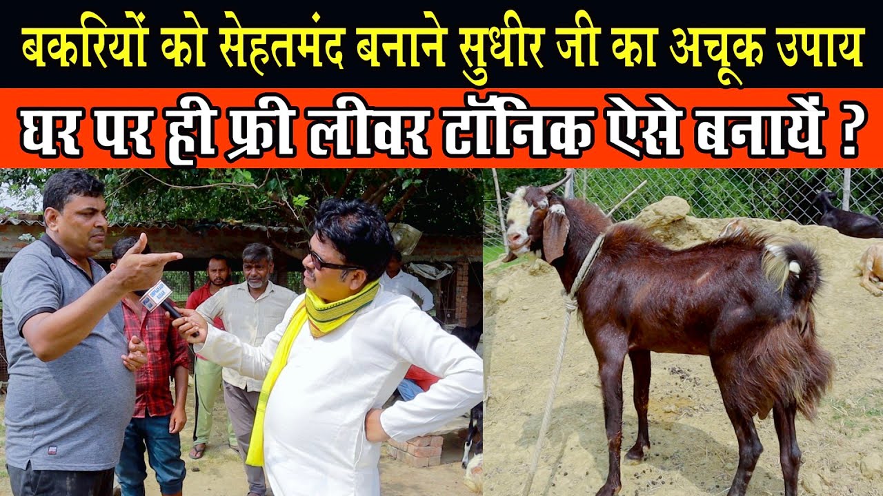 बकरी के लिए फ्री लीवर टानिक ऐसे बनाएं- Sudhir sir। "Bakri ke liye liver tonic" kaise Banaye।