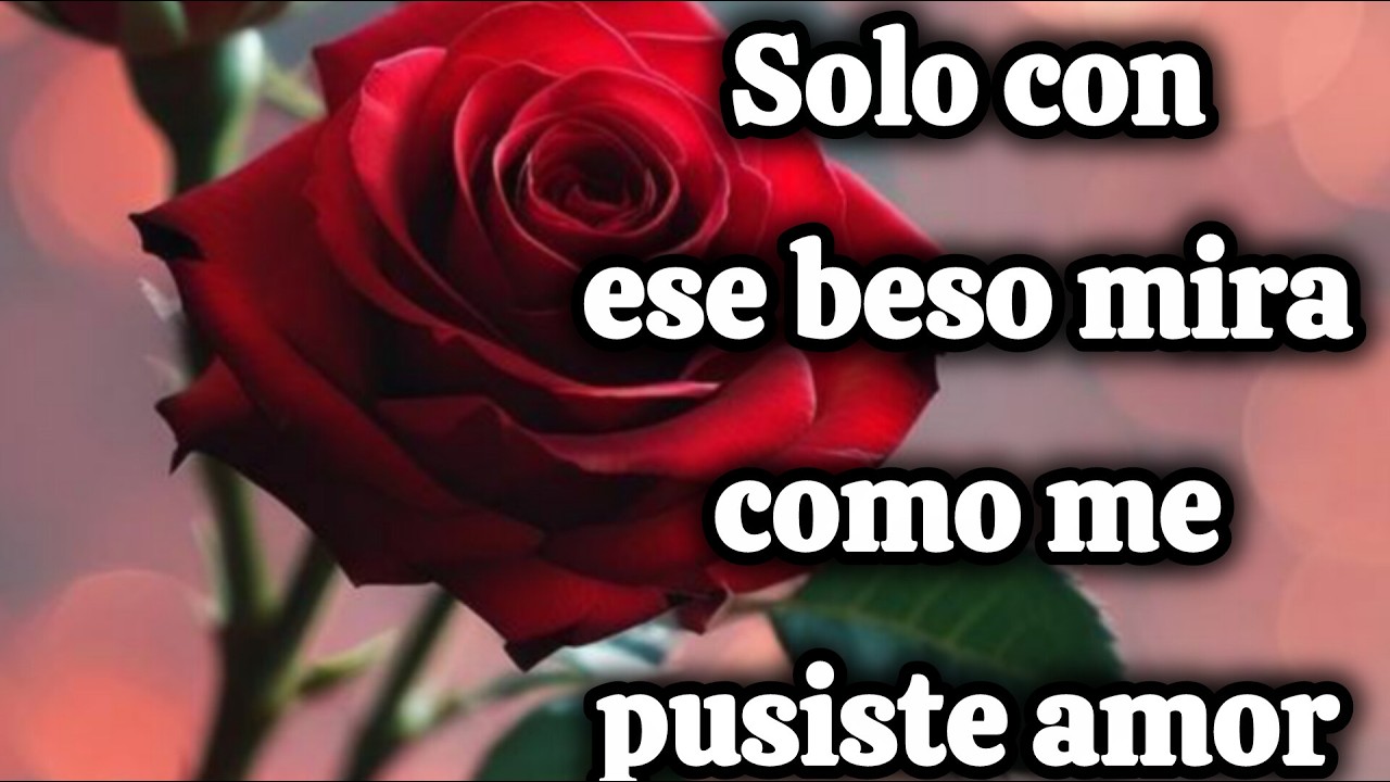Solo con ese beso mira como me pusiste