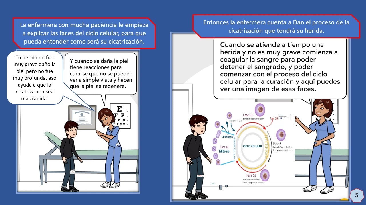 Historieta, Actividad integradora 3 El ciclo celular en mi vida