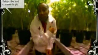 Ludacris-Blueberry Yum Yum-Intensified Bass