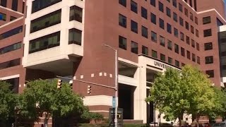 UAB research supported similar protocols for recent pig kidney transplant into human