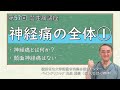 第57回 神経痛概論①